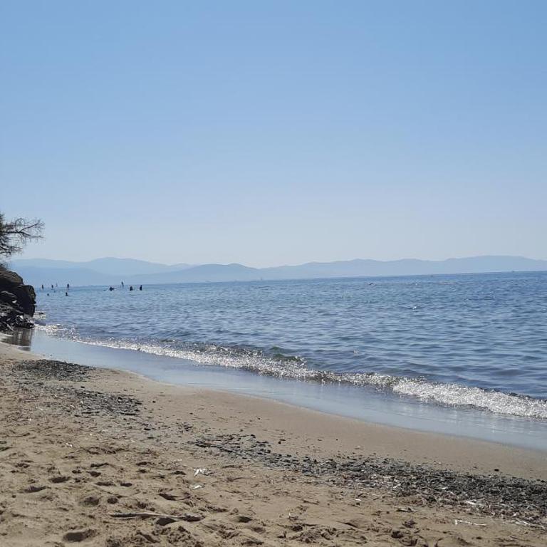 Casa d'aMare - a 600 mt dalla spiaggia - Casa Vacanze - 3