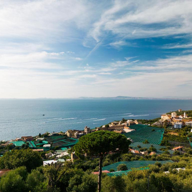 Estate4home - Villa Maria Rosaria - Villa with Private Pool - 56