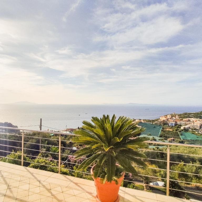 Estate4home - Villa Maria Rosaria - Villa with Private Pool - 91