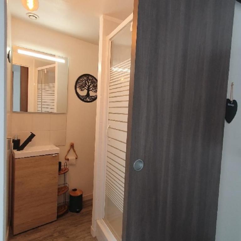 Le Joli’Mans, appartement refait à neuf, entièrement équipé, pour 2 personnes, proche quartier historique et centre - Appartement 1 Chambre - 7