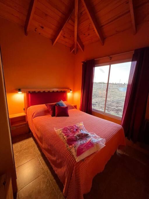 Cabaña Las Lavandas - Casa con 1 dormitorio - 22