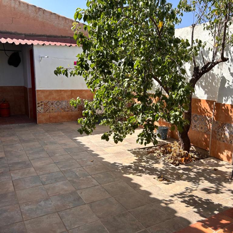 Cortijo el llano - One-Bedroom House - 16