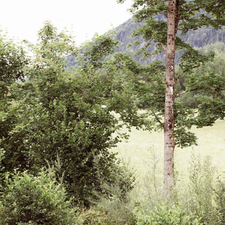 BachBett - modernes Gästehaus im Salzkammergut - Apartment mit 1 Schlafzimmer - 11