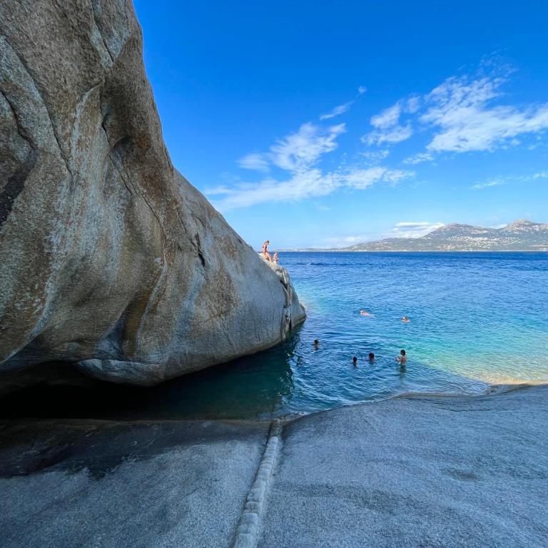 Appartement les pieds dans l eau - Appartement 3 Chambres - 25