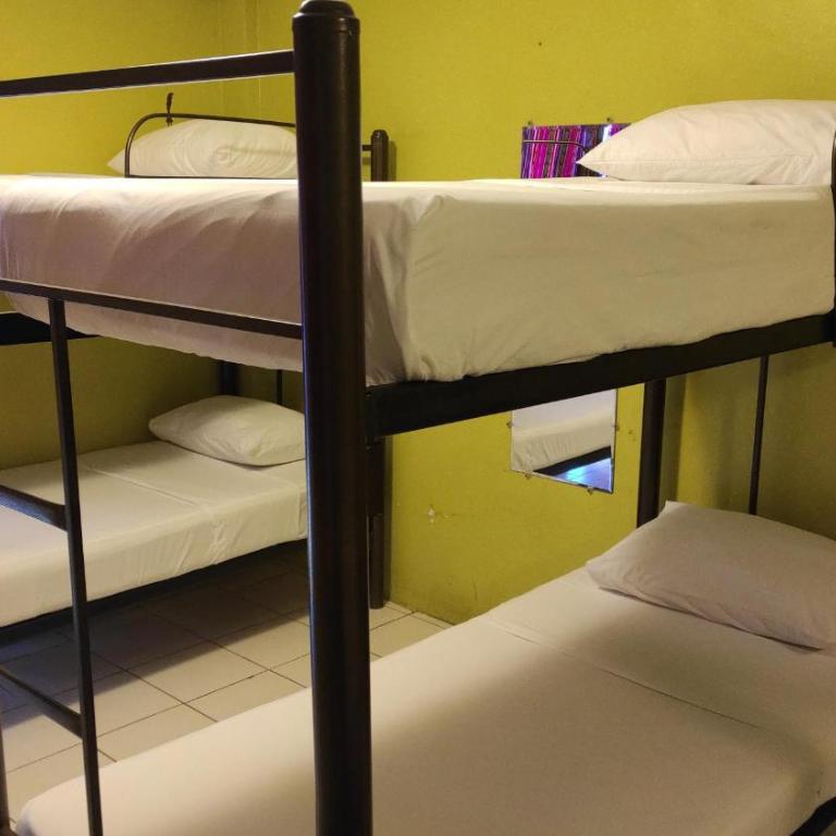 Dreamkapture Hostel close to the airport and bus terminal - Cama en habitación compartida mixta de 8 camas - 1