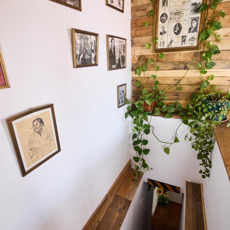Casa el "Tablao de las Almendras" - One-Bedroom Apartment - 13