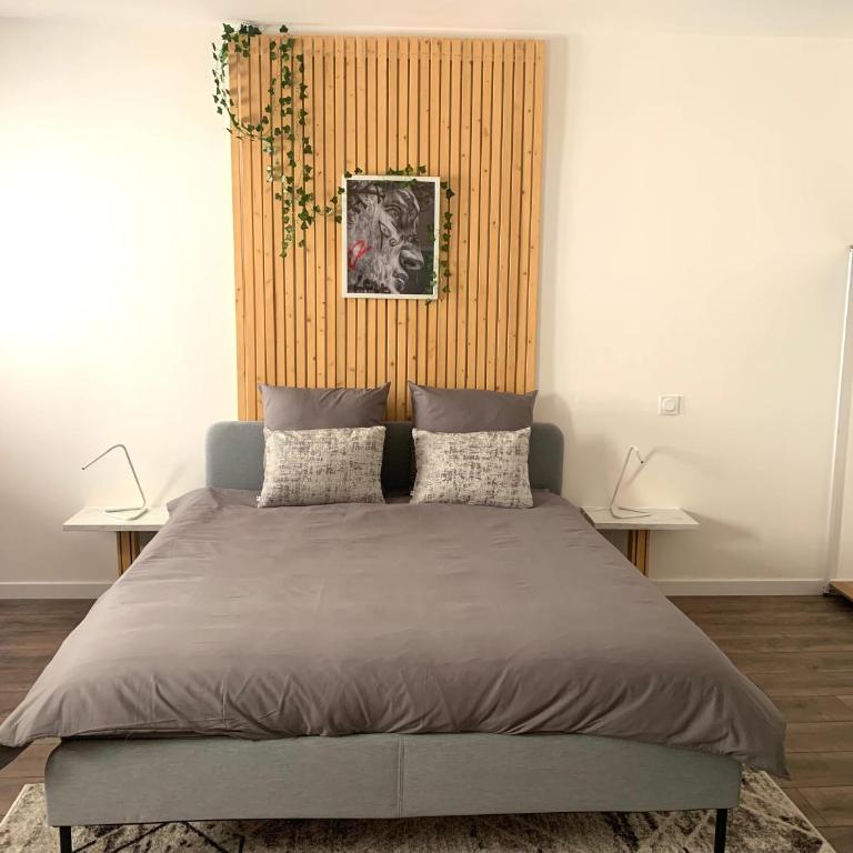Studio Via Romana 1 Vaison La Romaine - Studio Standard - 3