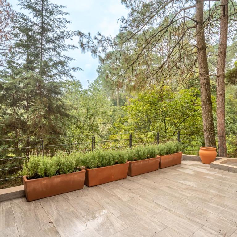 CASA NUEVA en Avandaro rodeada de Naturaleza - Villa con vistas al jardín - 7