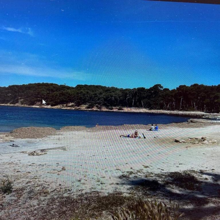 pin rollan beach - Appartamento con 1 Camera da Letto - 18
