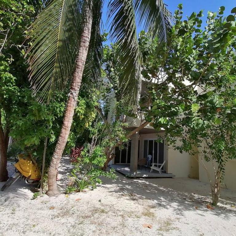 Marysol great views beachfront next to nomads d3 - One-Bedroom Apartment - 15