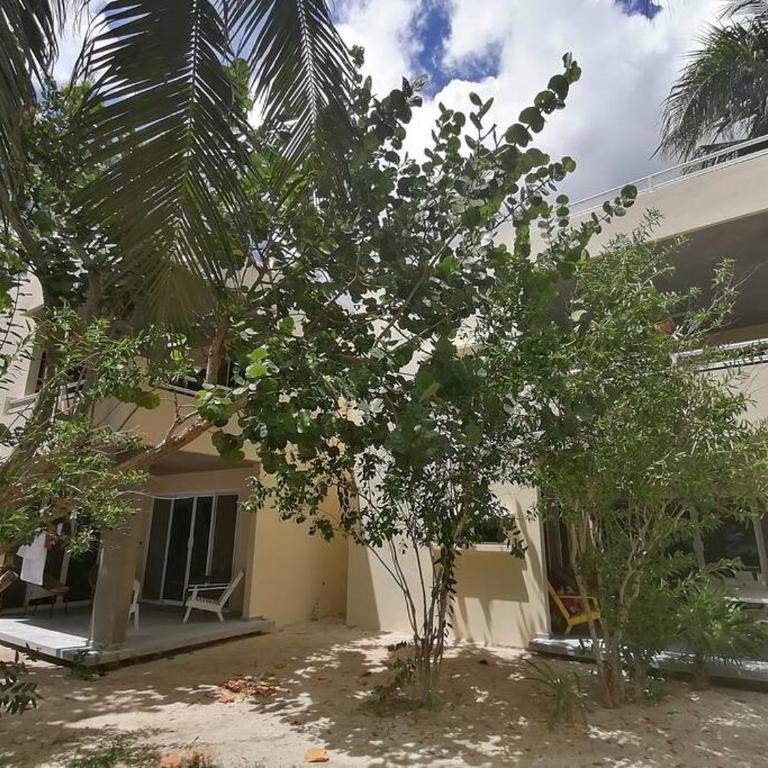 Marysol great views beachfront next to nomads d3 - One-Bedroom Apartment - 34