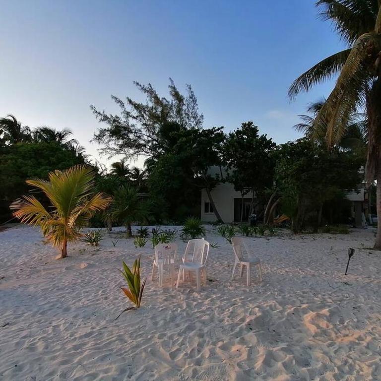 Marysol great views beachfront next to nomads d3 - One-Bedroom Apartment - 42