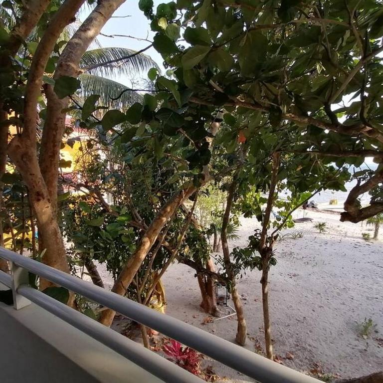 Marysol beachfront next to nomads d4 - One-Bedroom Apartment - 5