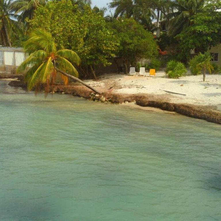 Marysol beachfront next to nomads d4 - One-Bedroom Apartment - 7