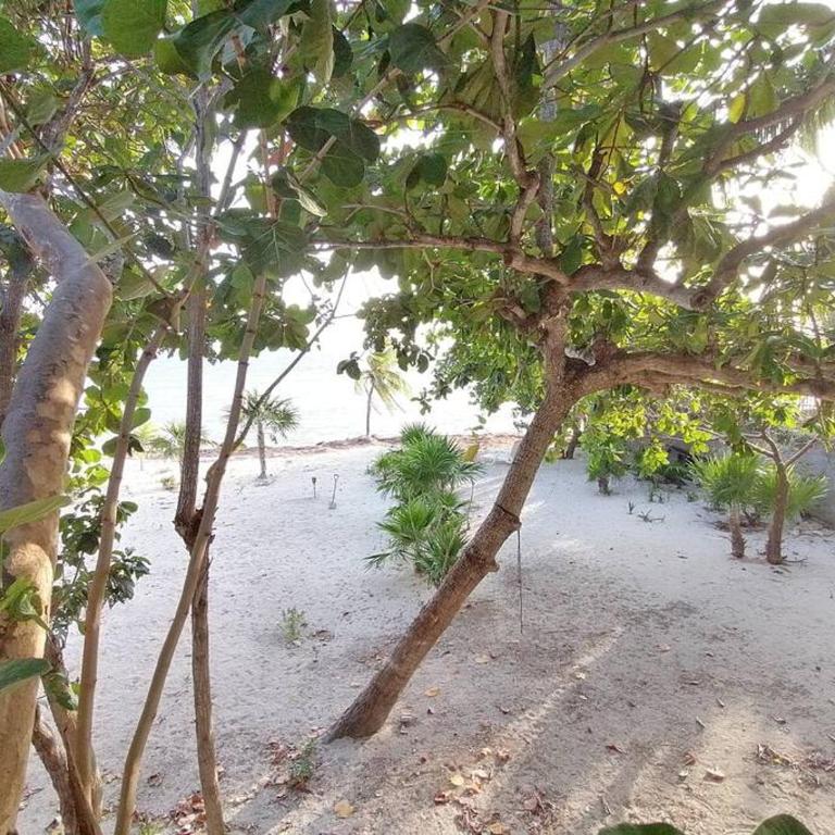 Marysol beachfront next to nomads d4 - One-Bedroom Apartment - 9