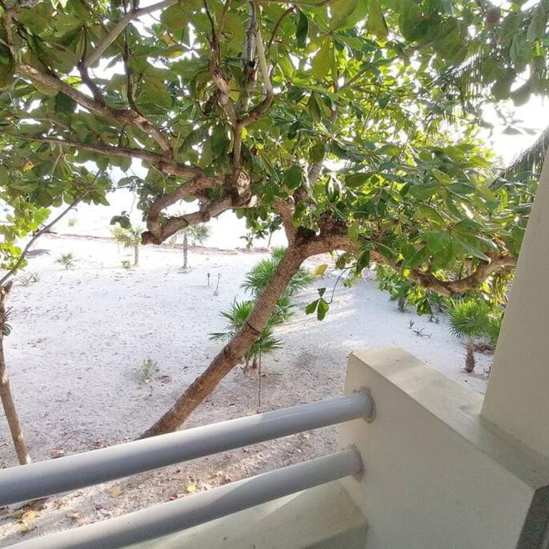 Marysol beachfront next to nomads d4 - One-Bedroom Apartment - 24