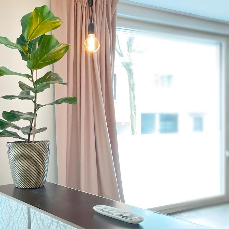 presence: grosszüges Loft_ bis 6 Pers_zentral - Apartment mit 1 Schlafzimmer - 3