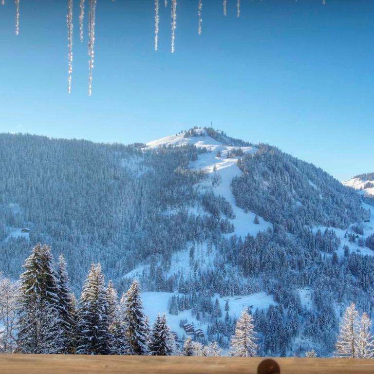 Chalet Zamaro - OVO Network - OVO Network - Chalet - 25