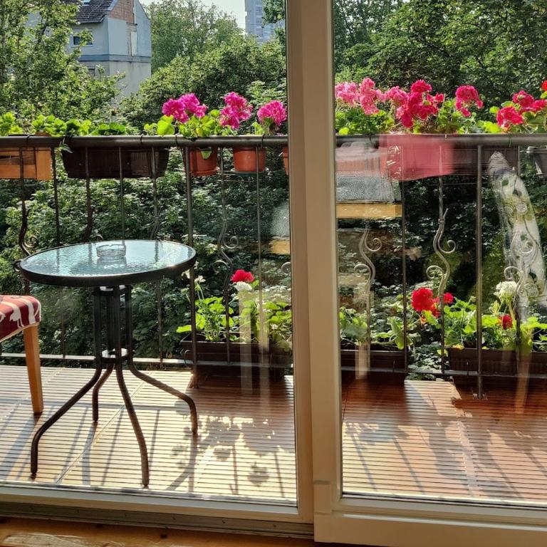 Petra - Apartman sa 2 Spavaće Sobe - 6