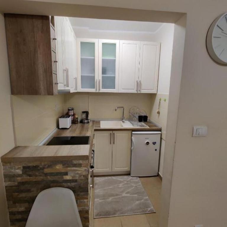 Djurdja - Apartman sa 1 Spavaćom Sobom - 9