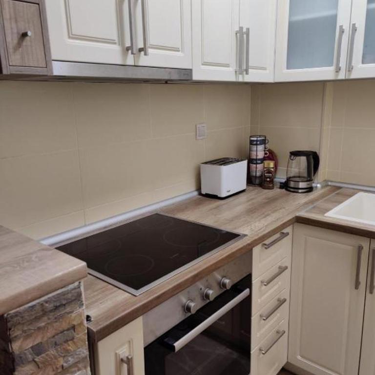 Djurdja - Apartman sa 1 Spavaćom Sobom - 10