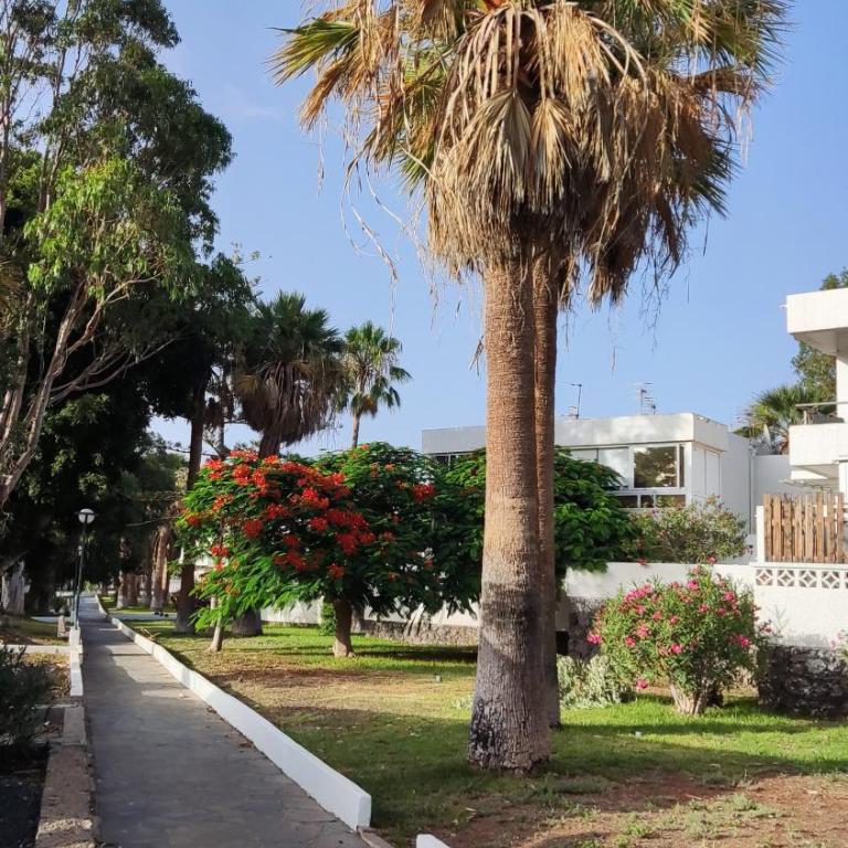 Diosa Diana - Apartamento de 1 dormitorio - 12