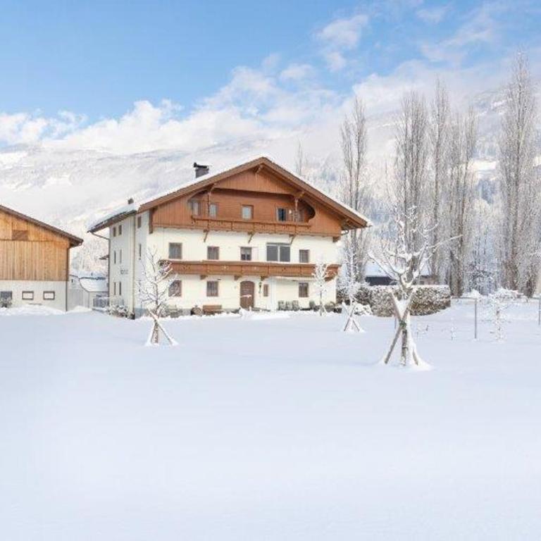 Stöcklerhof - Three-Bedroom Apartment with Shower - 1