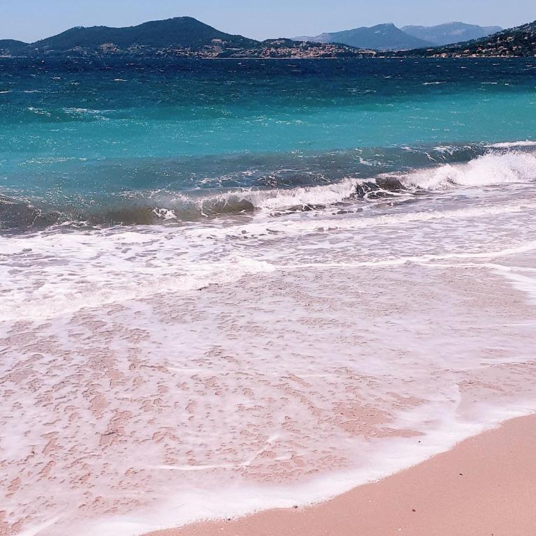 50 m2 - Le PORT, HYERES - Appartement 1 Chambre - 4