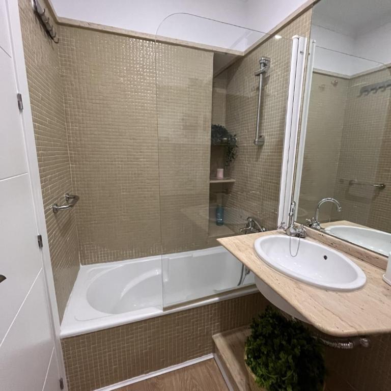 apartamentos Larios centro - Apartamento con terraza - 18
