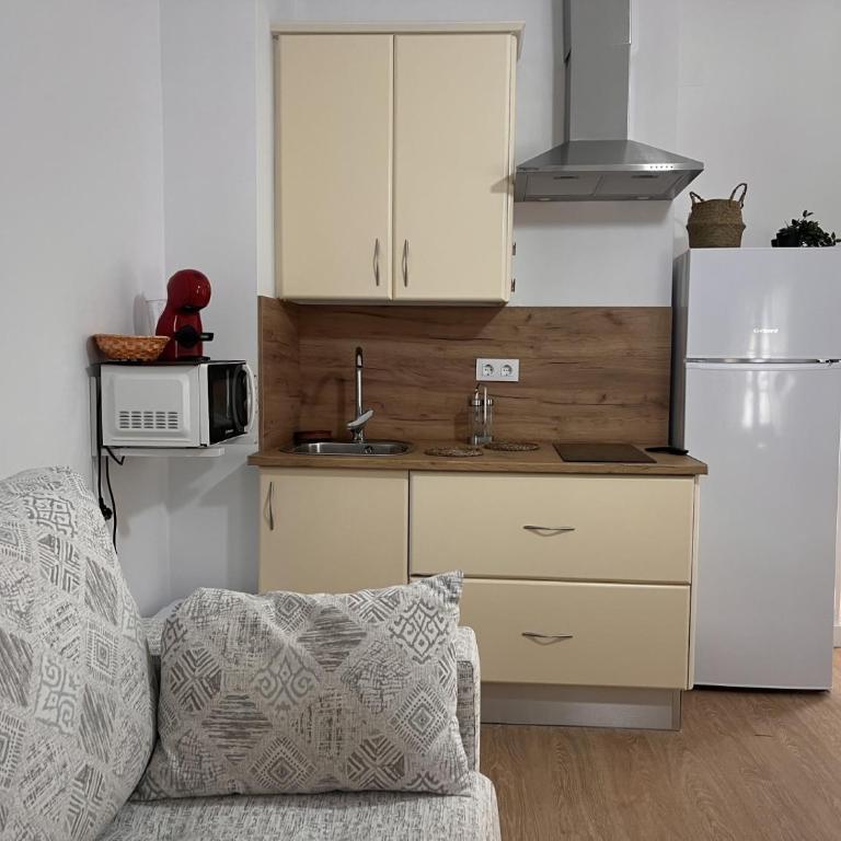 apartamentos Larios centro - Apartamento con terraza - 14