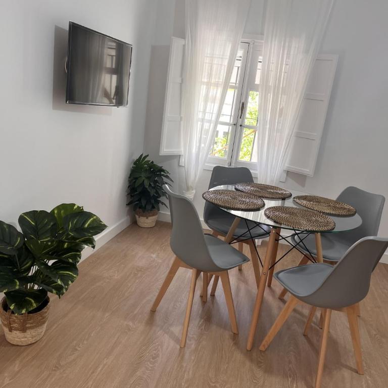 apartamentos Larios centro - Apartamento con terraza - 8