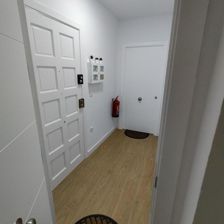 apartamentos Larios centro - Apartamento con terraza - 1