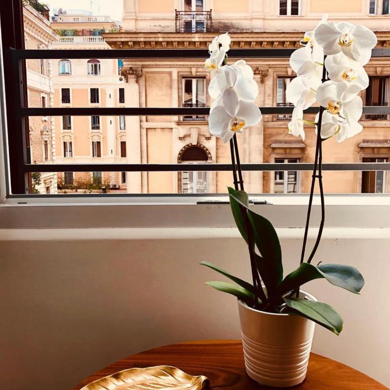 900 Piazza del Popolo - Suite - 4