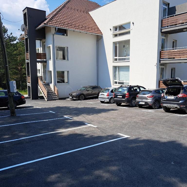 Divcibare Centar 2 - Standard Studio - 7