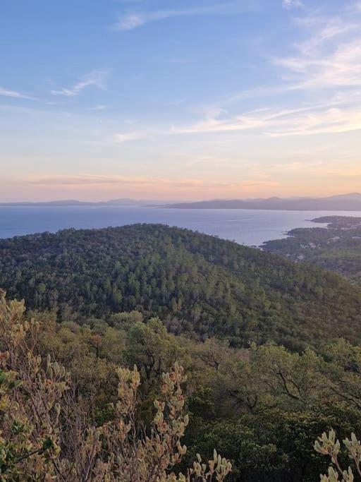 Cap Esterel/Cœur Village/RDJ - Apartment mit 2 Schlafzimmern - 44