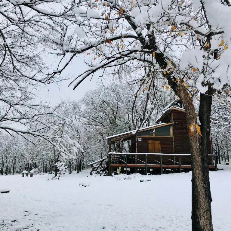NOMADE cabin rent - Chalet de 1 dormitorio - 4