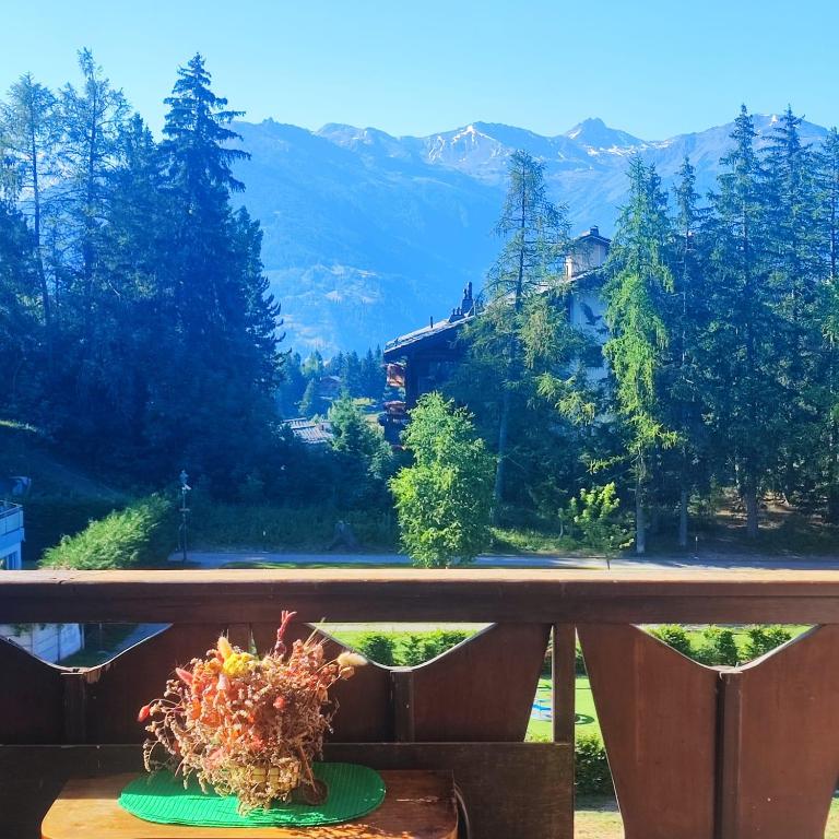 Bellevue Crans-Montana - Appartement 1 Chambre - 2