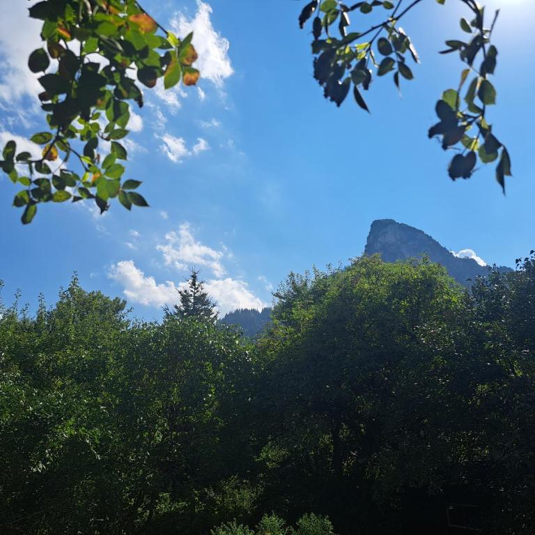 Ferienwohnungen im Lüftlmalereck, Mussldomahaus - Apartment mit Blick auf die Berge - 18