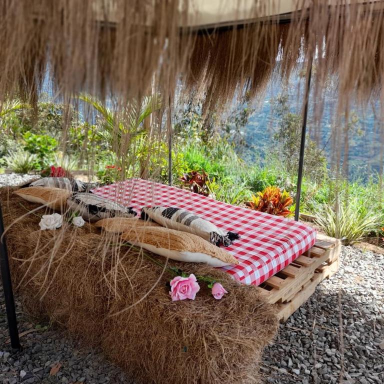 IslaMontaña Glamping - Isla Alcón - 6