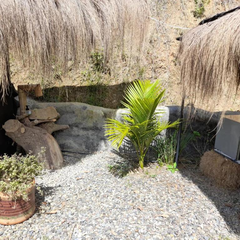 IslaMontaña Glamping - Isla Alcón - 4