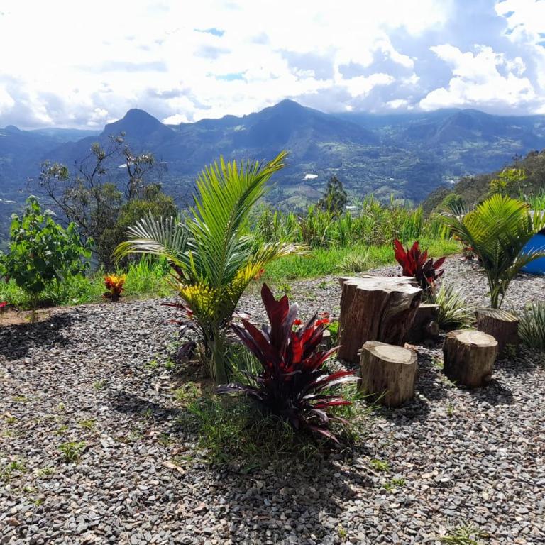 IslaMontaña Glamping - Isla Alcón - 2