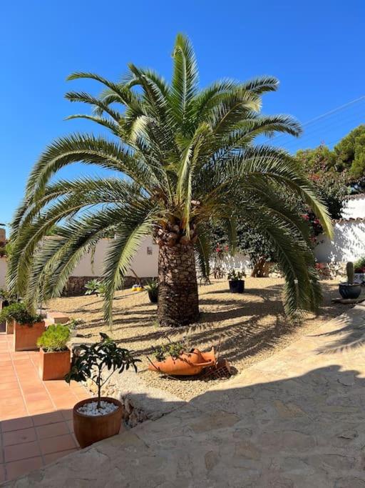 CASA SERENITA charming villa with swimming pool - Villa con piscina privada - 20