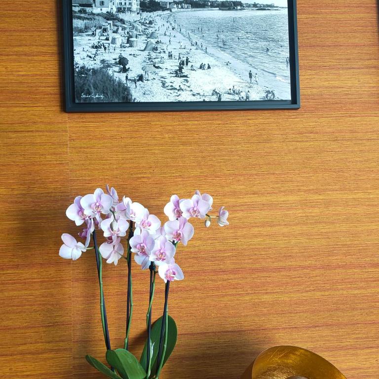 This one - Appartement 1 Chambre - 23