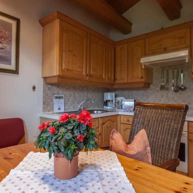 Alpbach Apartments - Country House - One-Bedroom Apartment - 1