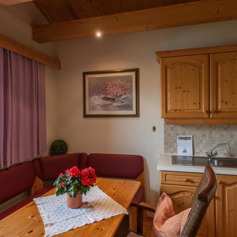Alpbach Apartments - Country House - One-Bedroom Apartment - 10