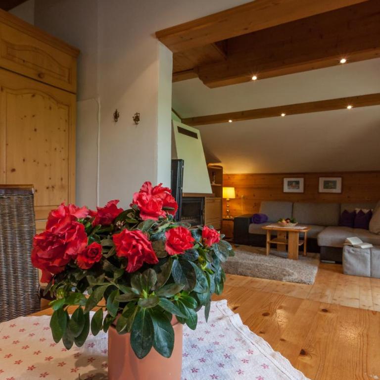 Alpbach Apartments - Country House - One-Bedroom Apartment - 11