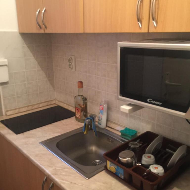 St. Sava Slavija Apartment - Apartman sa 1 Spavaćom Sobom - 8