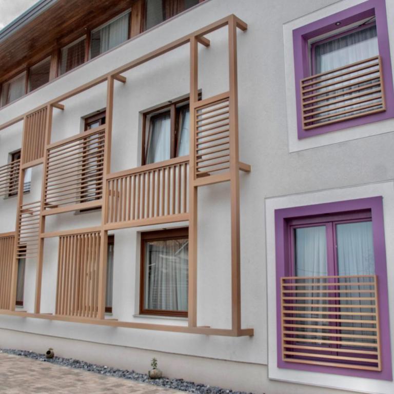 Hotel Boss - Deluks Dvokrevetna Soba sa Bračnim Krevetom/Zasebnim Krevetima - 18