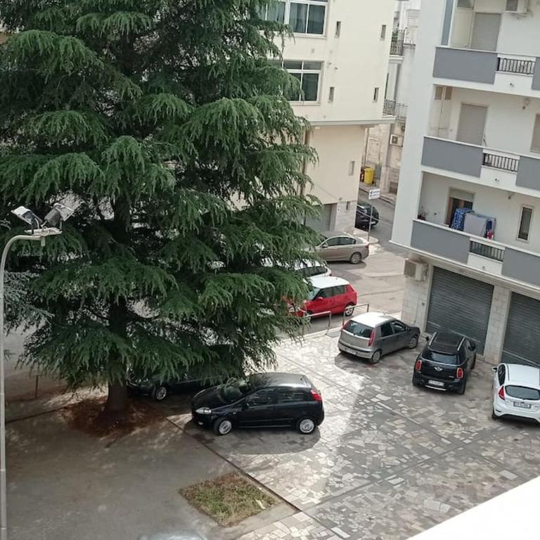Appartamento Terrazza Bella Vista - Appartamento con 1 Camera da Letto - 25