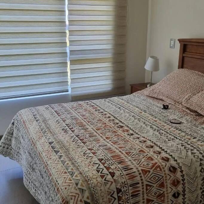 Depto. Nuevo Algarrobo patio privado - Apartamento de 2 dormitorios - 2